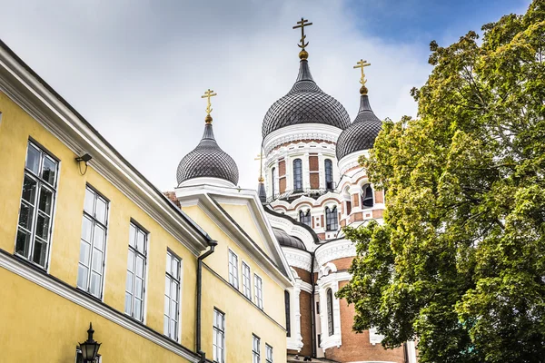 Catedral de Alexander Nevsky, uma igreja ortodoxa da catedral no — Fotografia de Stock
