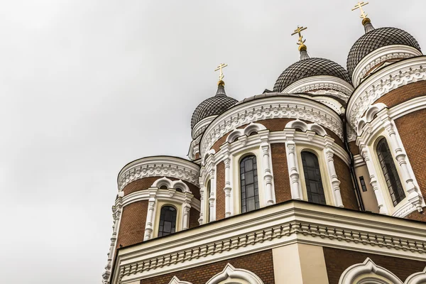Alexander nevsky Katedrali, Ortodoks bir katedral kilise — Stok fotoğraf
