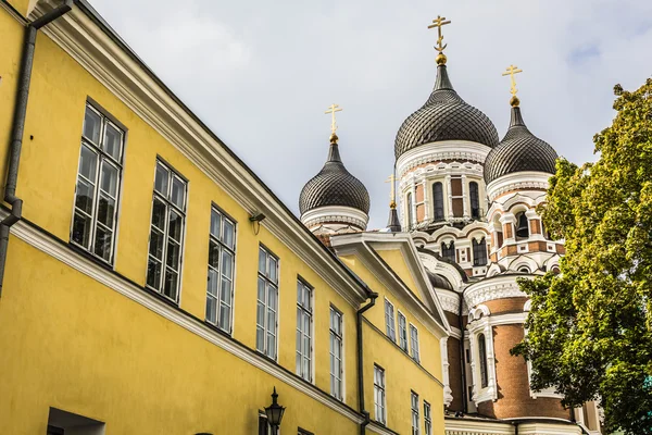 Alexander nevsky Katedrali, Ortodoks bir katedral kilise — Stok fotoğraf