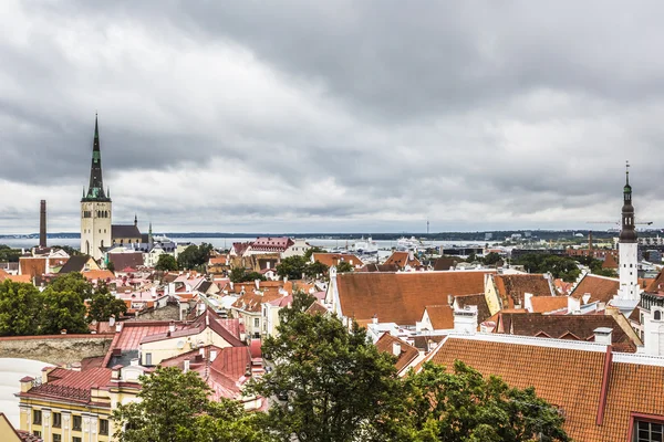 Scenic summer aerial panorama of the Old Town in Tallinn, Estoni — Stock Photo, Image