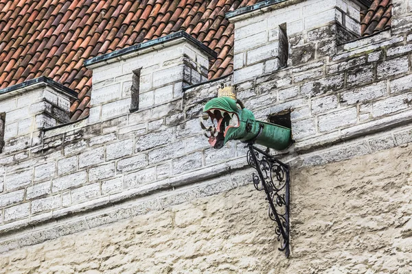 I Gargoyle di Tallinn, Estonia . — Foto Stock