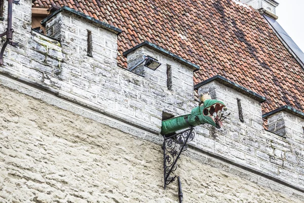 As gárgulas de Tallinn, Estónia . — Fotografia de Stock