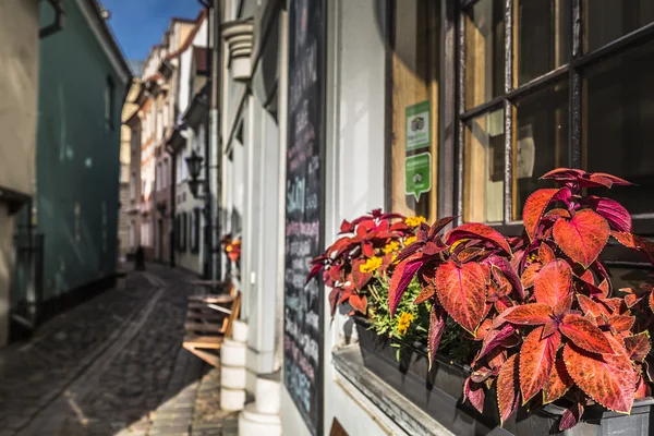 Famosa arquitetura medieval estreita edifício rua na cidade velha — Fotografia de Stock