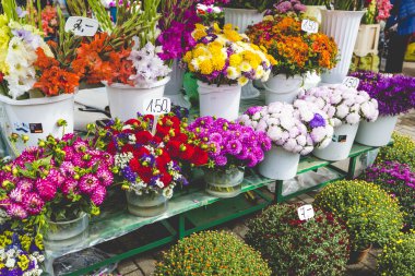 Flower market in Riga, Latvia clipart