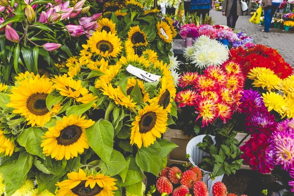 Blomstermarknaden i Riga, Lettland — Stockfoto