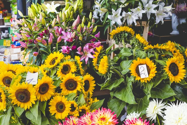 Riga, ラトビアの花市場 — ストック写真