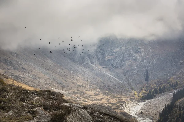 Panoramy górskiej Ala Archa wąwóz w sumie — Zdjęcie stockowe