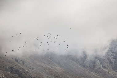 Ala-Arça gorge toplam dağ manzara Panoraması