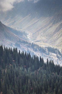 Ala-Arça gorge toplam dağ manzara Panoraması