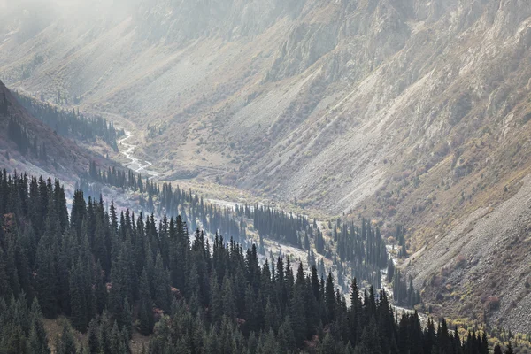 Il panorama del paesaggio montano della gola di Ala-Archa nella somma — Foto Stock