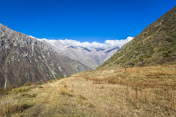 O panorama da paisagem montanhosa do desfiladeiro de Ala-Archa na soma — Fotografia de Stock