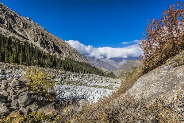 El panorama del paisaje montañoso de la garganta de Ala-Archa en la suma —  Fotos de Stock