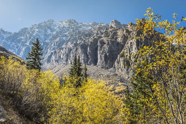Het panorama van de bergwereld van Ala-Archa kloof in de som — Stockfoto