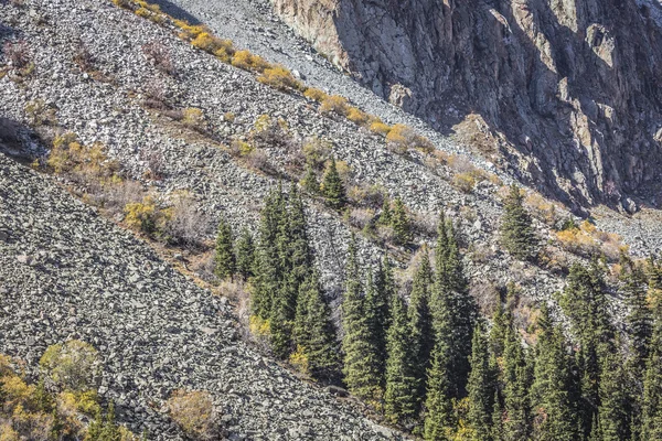 O panorama da paisagem montanhosa do desfiladeiro de Ala-Archa na soma — Fotografia de Stock