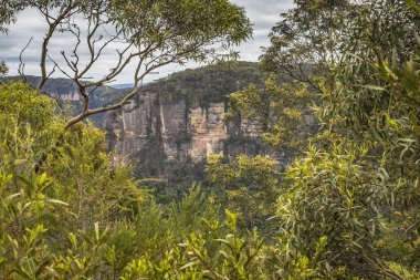 Avustralya 'daki Mavi Dağlar
