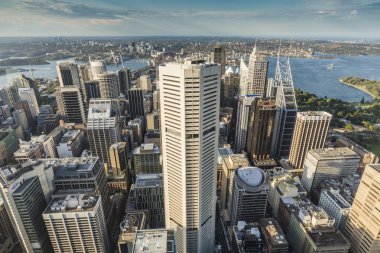 Sydney Avustralya'da Sydney Tower havadan görünümü