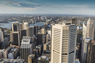 Sydney Avustralya'da Sydney Tower havadan görünümü