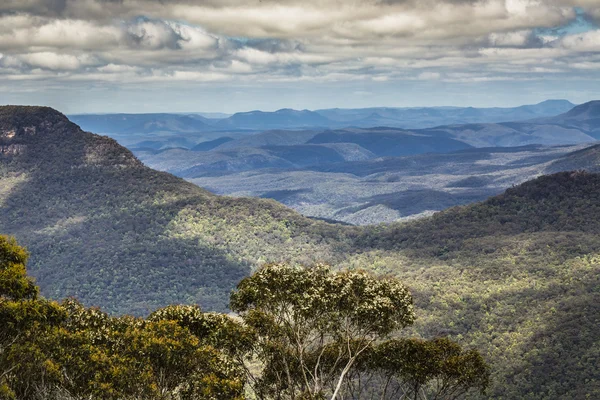 Blue Mountains v Austrálii — Stock fotografie