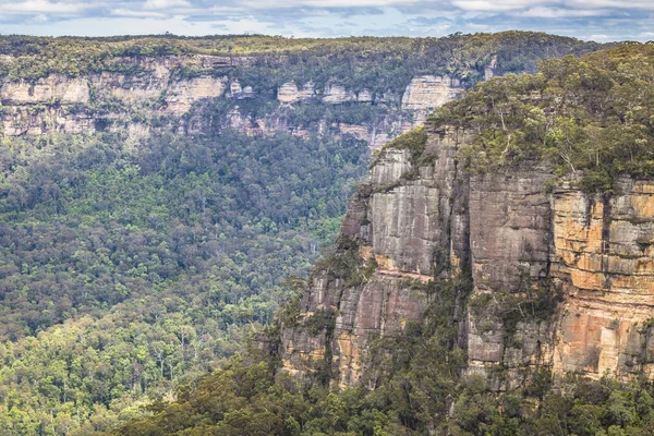 Niebieskie Góry w Australii — Zdjęcie stockowe