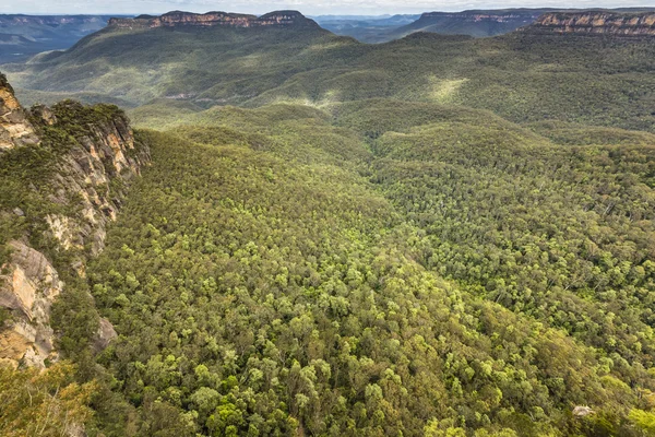 Niebieskie Góry w Australii — Zdjęcie stockowe