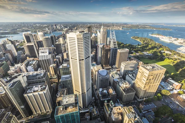 Widok z lotu ptaka z Sydney Tower w Sydney w Australii — Zdjęcie stockowe