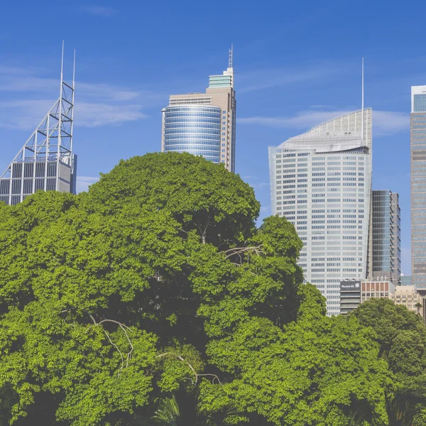 Panoramę z sydney z dzielnicy biznesowej miasta. — Zdjęcie stockowe