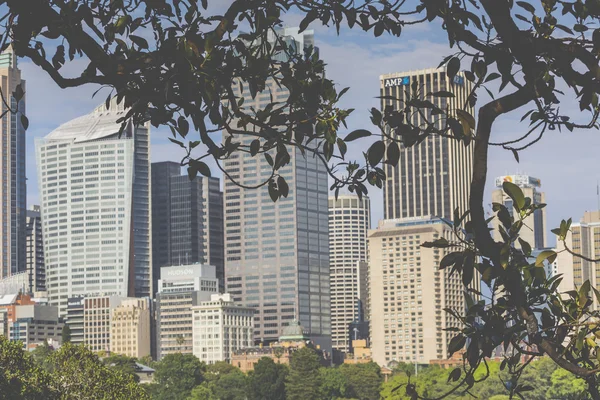 Panoramę z sydney z dzielnicy biznesowej miasta. — Zdjęcie stockowe