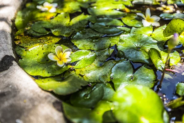 Templo em Bali, Indonésia em um belo dia ensolarado — Fotografia de Stock