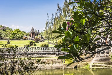 Bali, Endonezya güzel güneşli bir tapınakta