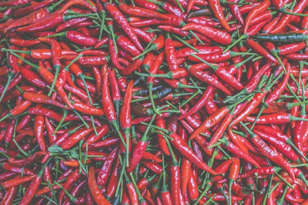 Červené chilli papričky, detailní pohled — Stock fotografie