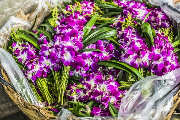 Bouquets of purple and white orchid flowers stacked on display a — Stock Photo, Image