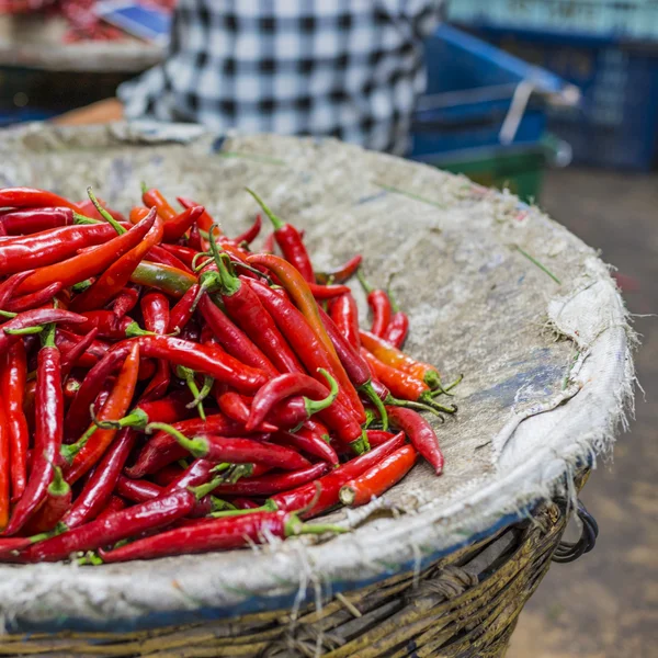 Piros chili paprika, Vértes megtekintése — Stock Fotó