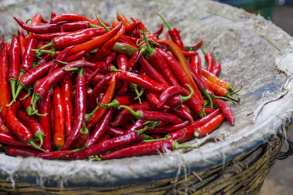 Piros chili paprika, Vértes megtekintése — Stock Fotó