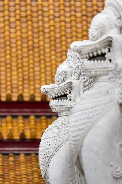 İki Yataklı aslan Wat Benchamabophit, Bangkok, Tayland — Stok fotoğraf