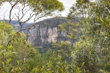 Ünlü üç kız kardeşi kaya oluşumu Blue Dağları na