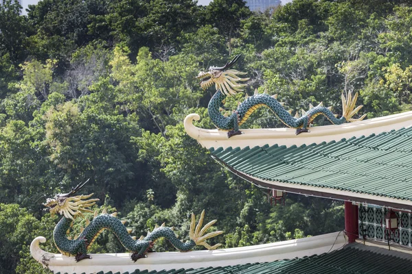 Cebu, Philip Taoist tapınakta Pagoda ve ejderha heykeli — Stok fotoğraf