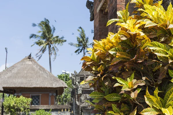Bali, Indonézia egy szép napsütéses napon a templomban — Stock Fotó