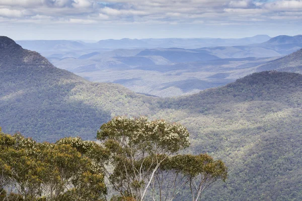 La célèbre formation rocheuse des Trois Sœurs dans les Blue Mountains Na — Photo