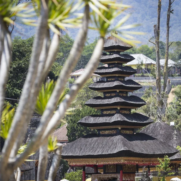 印度尼西亚巴厘Ulun Danu寺庙Beratan湖 — 图库照片