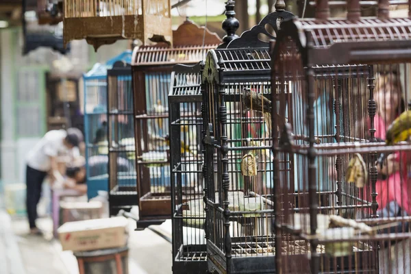 在日惹，Java 花鸟市场发售多彩笼子, — 图库照片