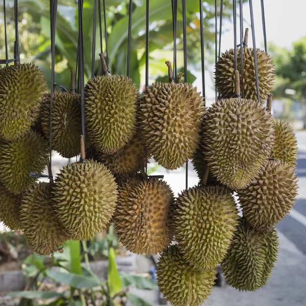 Durian frukter gatan marknadsstånd, Sumatra, Indonesien. Durian re — Stockfoto