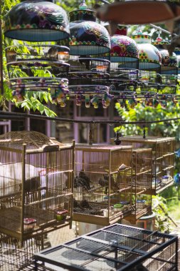 Birds and parrots at the Pasar Ngasem Market in Yogyakarta, Cent clipart