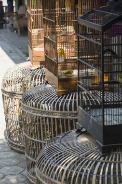 Kuşlar ve Yogyakarta, Cent Pasar Ngasem piyasada, papağan