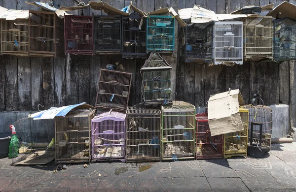 Birds and parrots at the Pasar Ngasem Market in Yogyakarta, Cent — Stock Photo, Image