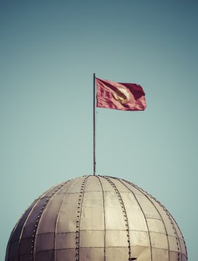 Ana kare Ala-çok Bişkek, Kırgızistan.