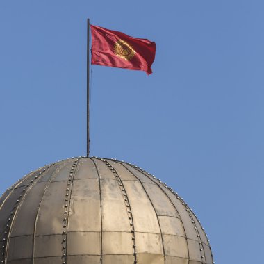 Ana kare Ala-çok Bişkek, Kırgızistan.