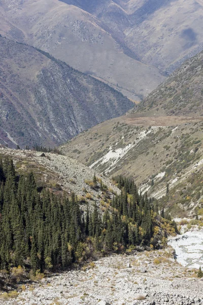 Panorama horské krajiny Ala Archa rokle v součtu — Stock fotografie