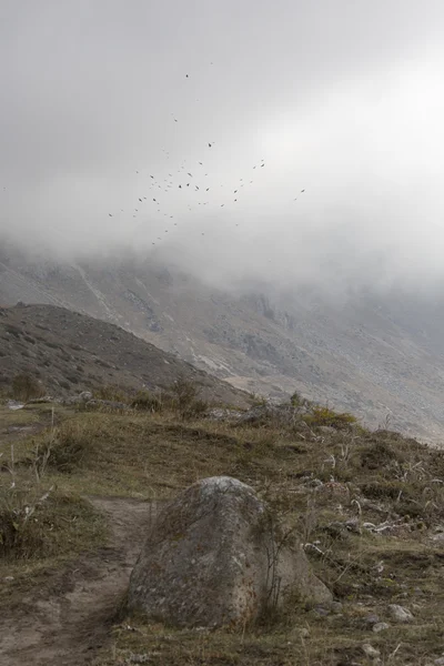 Ala-Arça gorge toplam dağ manzara Panoraması — Stok fotoğraf