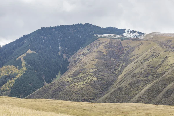 Pintoresco paisaje en las montañas de Tien Shan en Kirguistán . — Foto de Stock