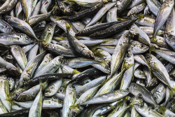 Marché aux poissons, front de mer de Galata, Istanbul — Photo